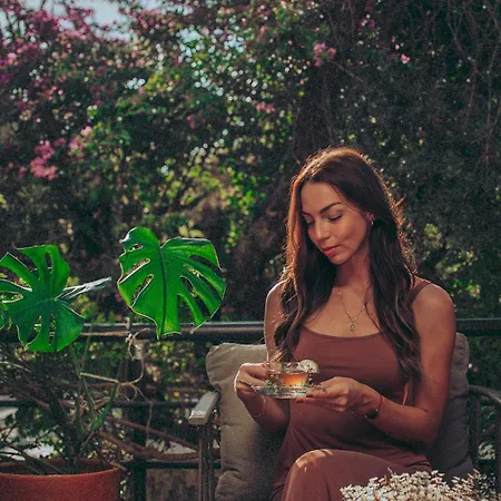 Mesken מלון גוג'ק