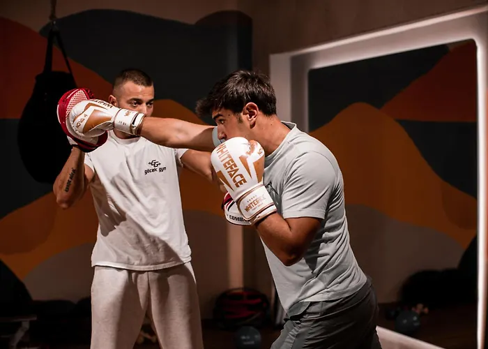 Mesken Inn Goecek Hotel 2* ギョジェク